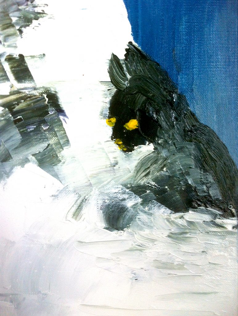IZ066 Chat des neiges